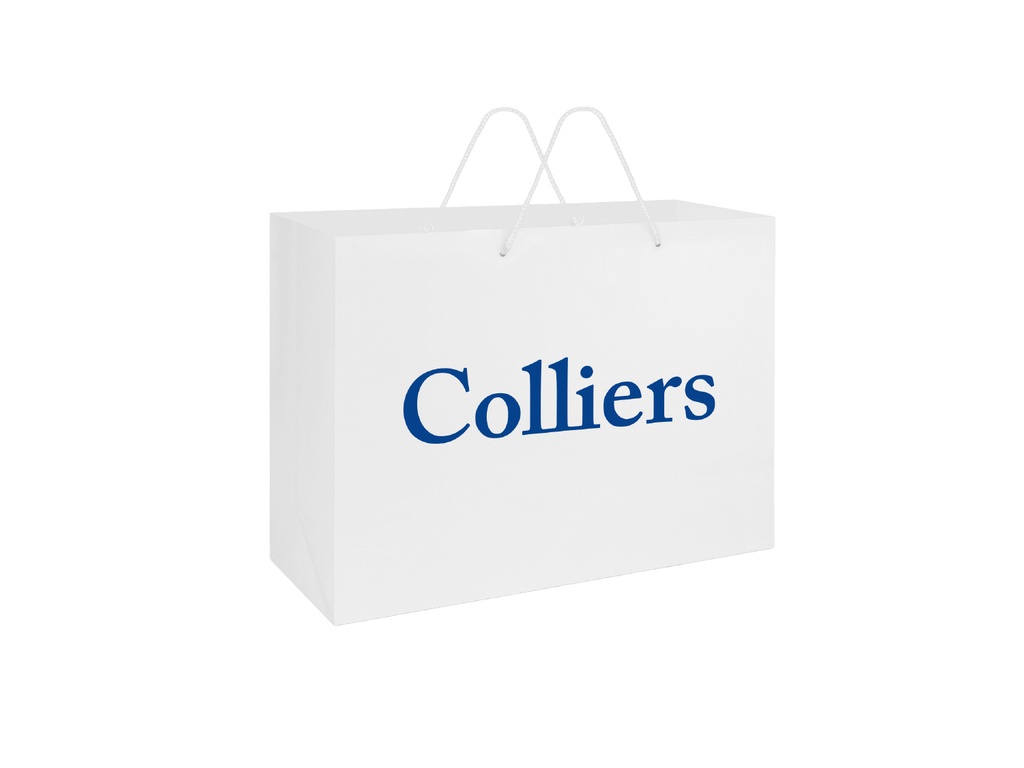 Laminated Carry Bag - Extra Large - Pack of 5